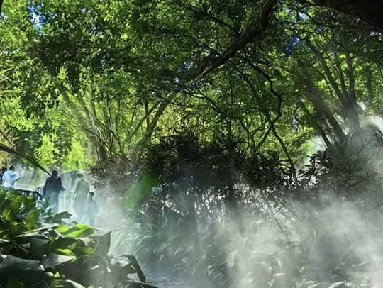 植物園